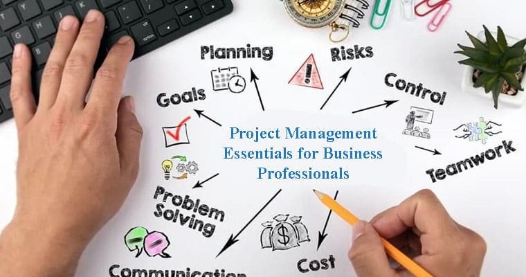 Project Management Essentials for Business Professionals