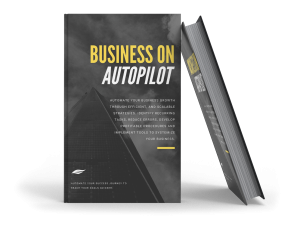 Business Systemization