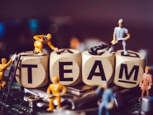 Setting and Team Members