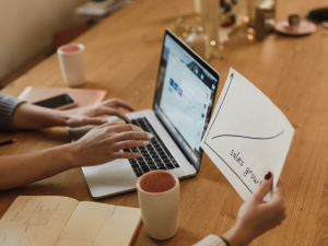 Mastery of Ecommerce