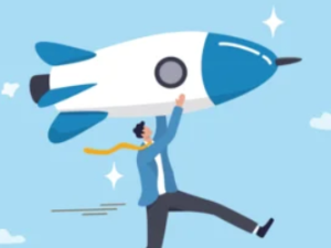 Solopreneur Success Book