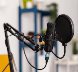 Hire Voice Over Artist